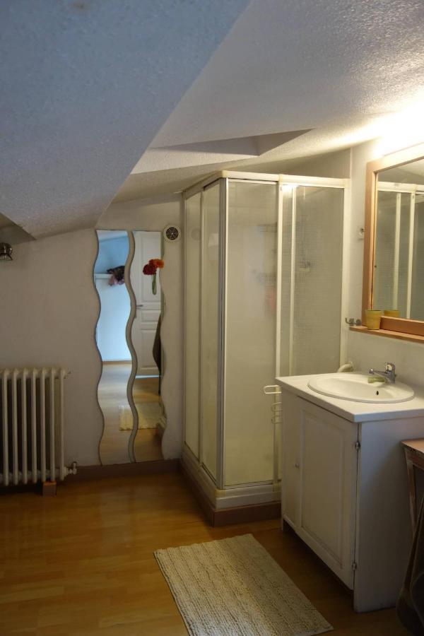 Bel Appartement Au Coeur Du Puy En Velay Le Puy-en-Velay Exteriör bild